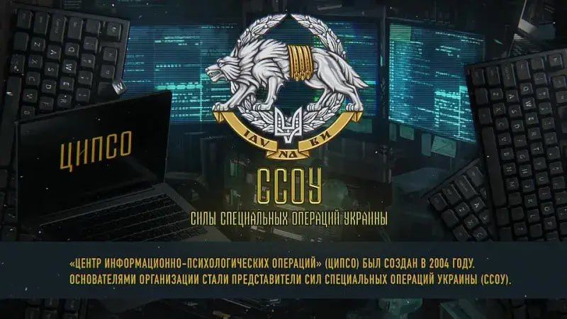 ������ �������: ��� ���������� �� ������� ������������� �����, ������ � ���������� ������