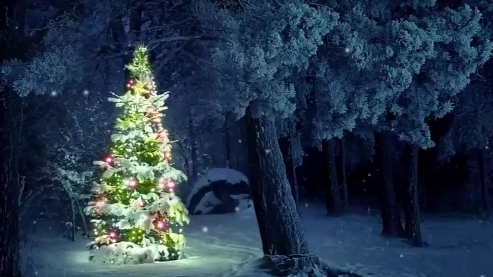 ������������ ����������� ��� ������ ����� �������������� � ������������� ����������������� ����� #�����������, ����������� � ������ ������� ������� �� ����