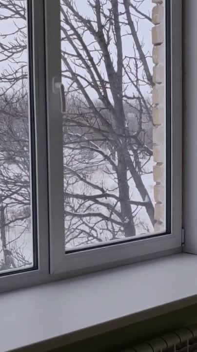 ������� �������: � ������������ ����� �������� ��������� ������ � ��������� ������� �����