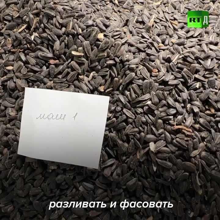 ���������� ������� �����, ������� �������� �� ���� �����������, ��� ���������