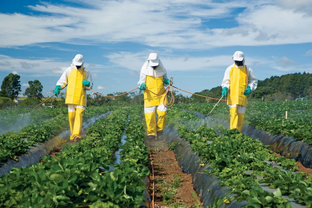 ������������ ���������� �������� ���������