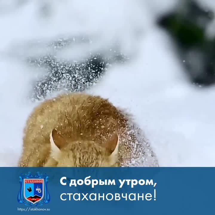 ��� �������, ������� ������!!!