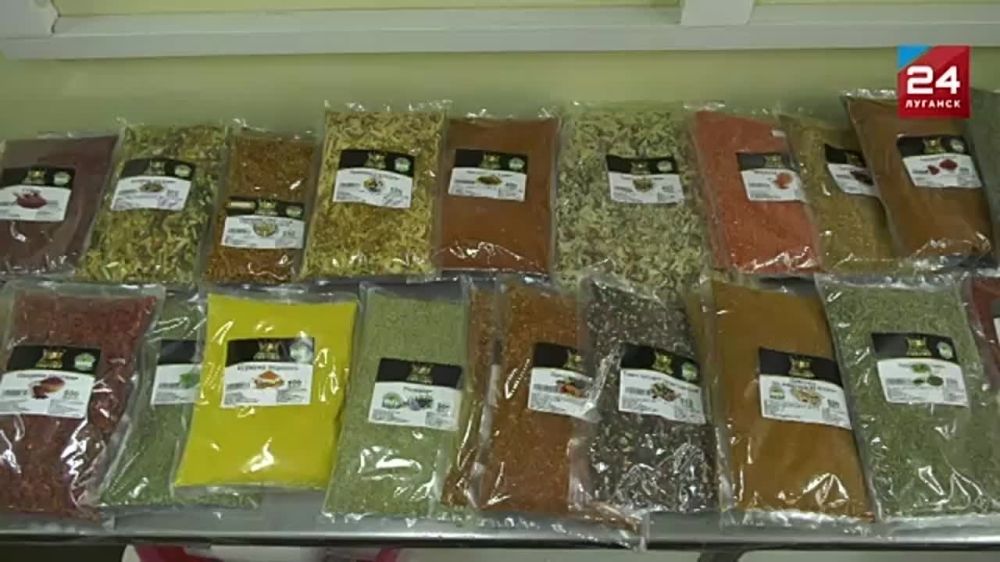 ����� 20 ���� ������ ���������� ������������� ����������� �� 2023 ���