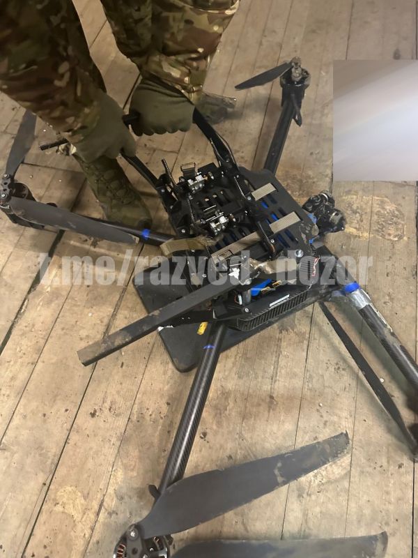 ����� �����: ����� 20 ����� �������� ��������� ������� ���� ��� ���� "���� ���" �� "����������" �� �����