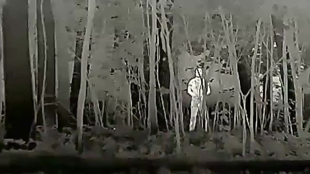 ������� ��������: � ������ ����������� ������������� �������-��������ӻ