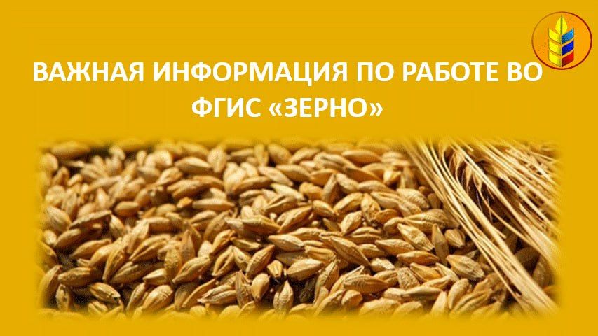 ��� �����������, ������� �� ����� � ������� ���� ������ �������� ��������������������� �����������, ������ ���������� ���������� ������� ��������������