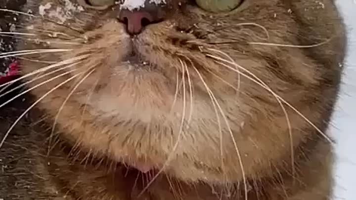 ������ ����! ��������� �������� � ������� ��������� )