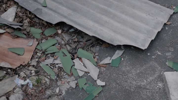 �������� ����-����������� ����� ������ ����� �������� ������� "����" �� ���������� "�������� ��������"
