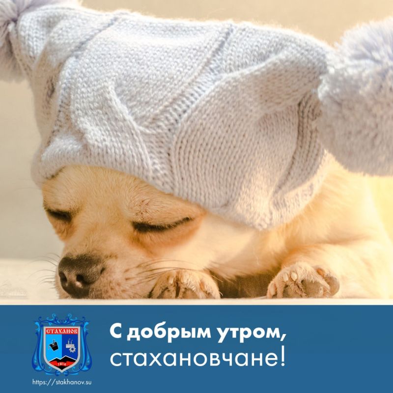 ������ ����, ��������. ������� �������� �����������. �� ����� ������� �� ����������� �������� ����! ��� ������� ��������� � � Telegram #�������� #�������_���������