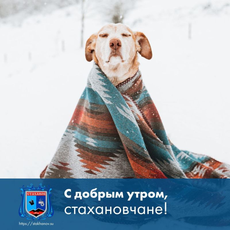 ������ ����, ��������. ������ ��� ������� ������! ��� ������� ��������� � � Telegram #�������� #�������_���������