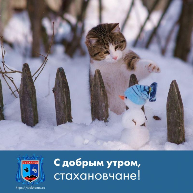 ������ ����, ��������. ���� �������� ����������! ��� ������� ��������� � � Telegram #�������� #�������_���������