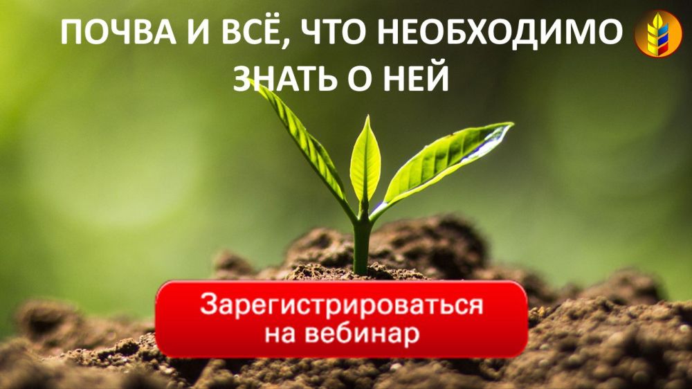 ��������� ��������������������������, 24 ������ ��������� ����� ���������� � �������� ������� �� ��������� �������� �������