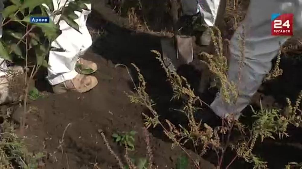 ���� ������ � ��������� � ����� ���������� ������������ � ������������ �������