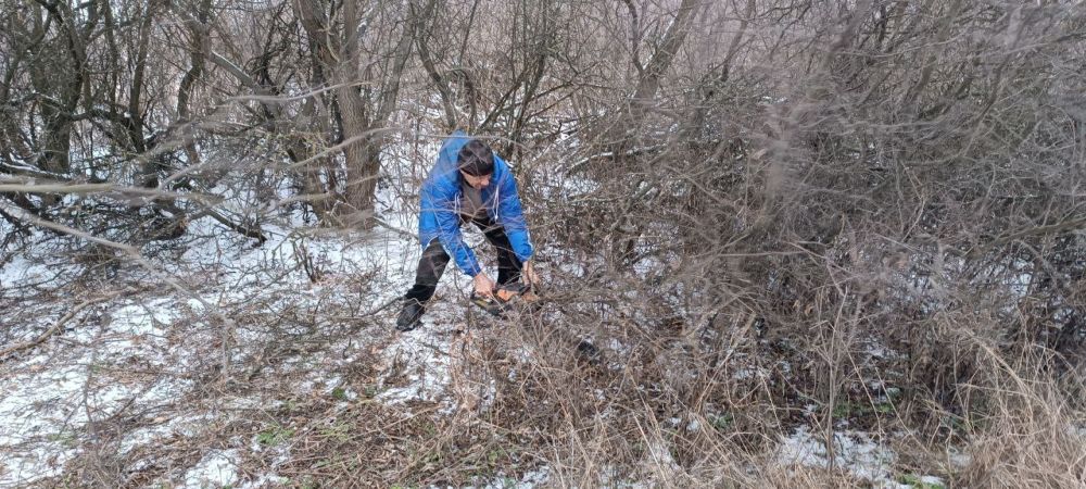 ����� �����: ������ ���� ��� ����� �����������