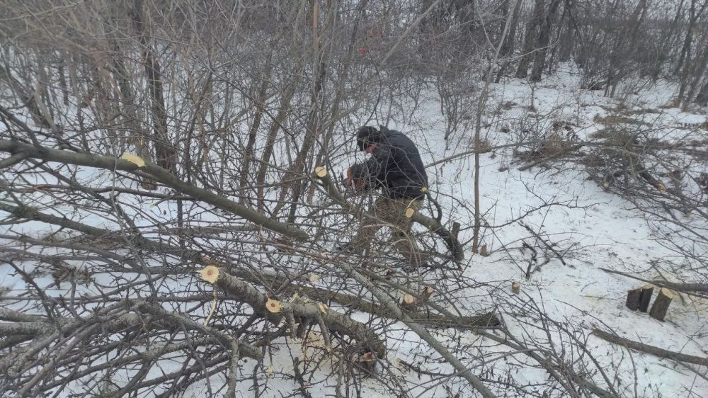 ����� �����: ��������������� - ���� ����� ������