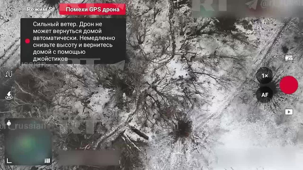 ��������� � ���������������� �����������