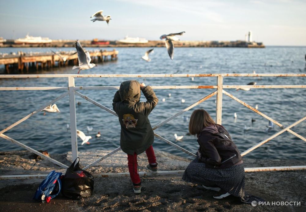 Константинов: Международный суд ООН положил конец бредовым фантазиям Киева