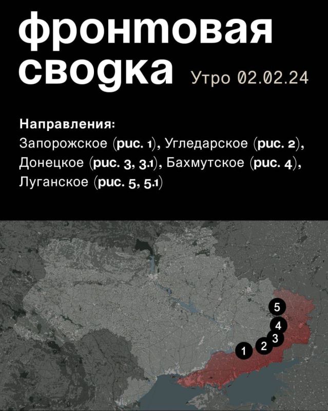 WarGonzo: ��������� ������ �� ���� 02.02.2024