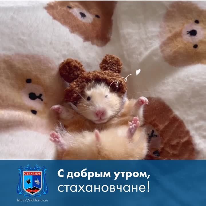 ������ ��������, ���������� ��������!!!