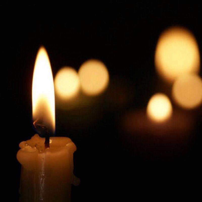 ���� �������: � ���������� �������� ���������� ������������� ������� � ���������� ������� 28 ������ �������, ����� ������� ���� �������