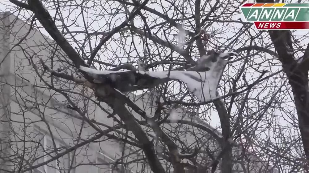 ������ �������: #���������� 4 ������� 2017 ����, � ������ �������� ����������� ������������ ��� �������� ���������������� ���, � ���������� �������� ����� ��������� ���������� �������� ������� ��������� �������� ���������� �������� ���� ������������