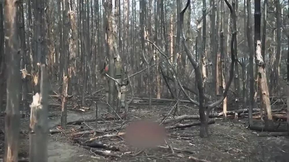 �������� ���������: ��������� ��������� ������� ����� � ���������