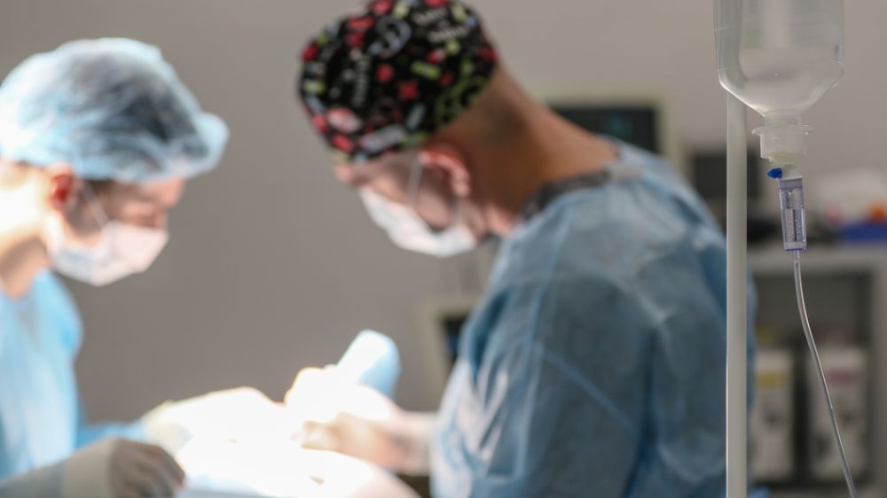 � �������� ������ ��������� �� ������: ������ �������� ��������