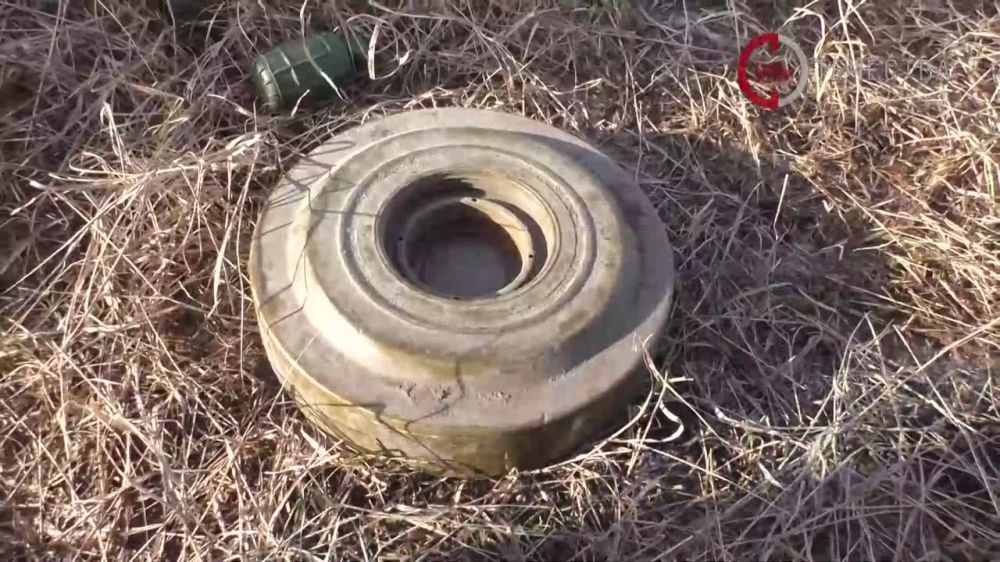 ����� �����: ����������� �������������� �������������� ������ �� �� ���������� ��������� ������ �� ������������� �������������� � ���