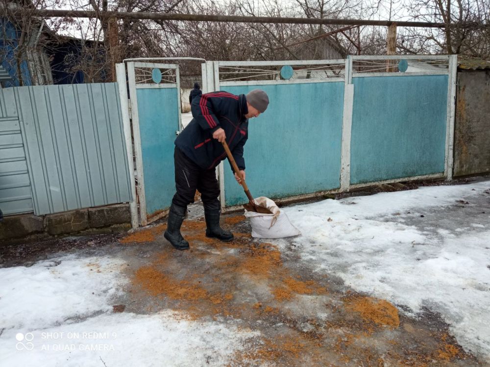 ����� �����: ������ ����������� �������������� ������ ������� ��������� ������� � ����� "������ ����"