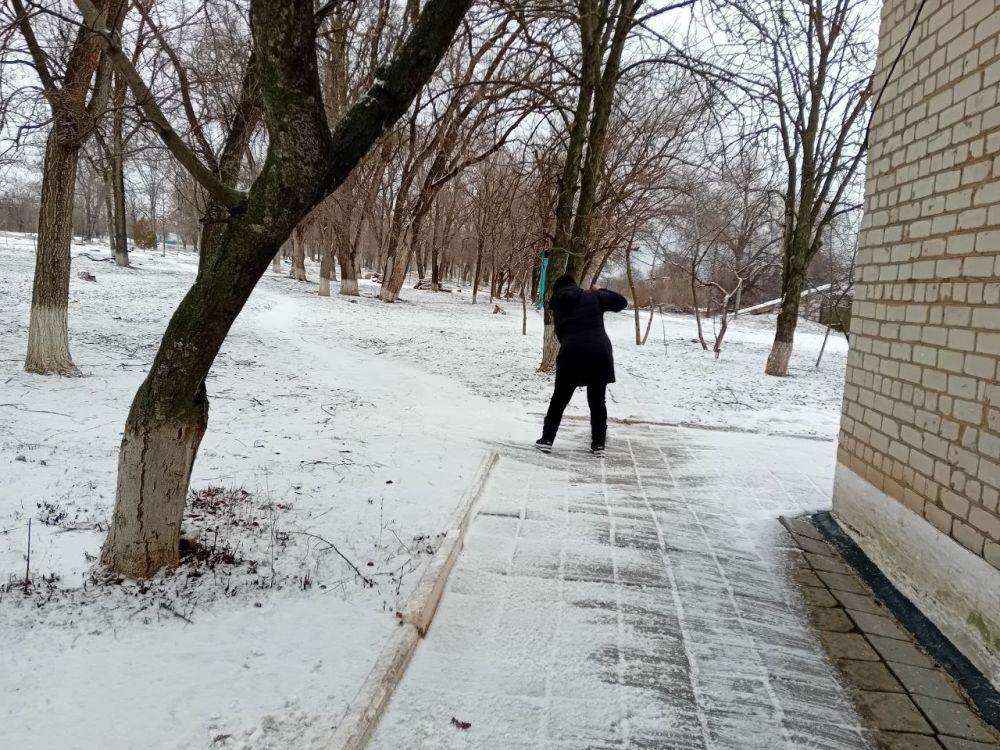 ����� �����: ������ �� ��������������� ����������� �������������� ������ ���