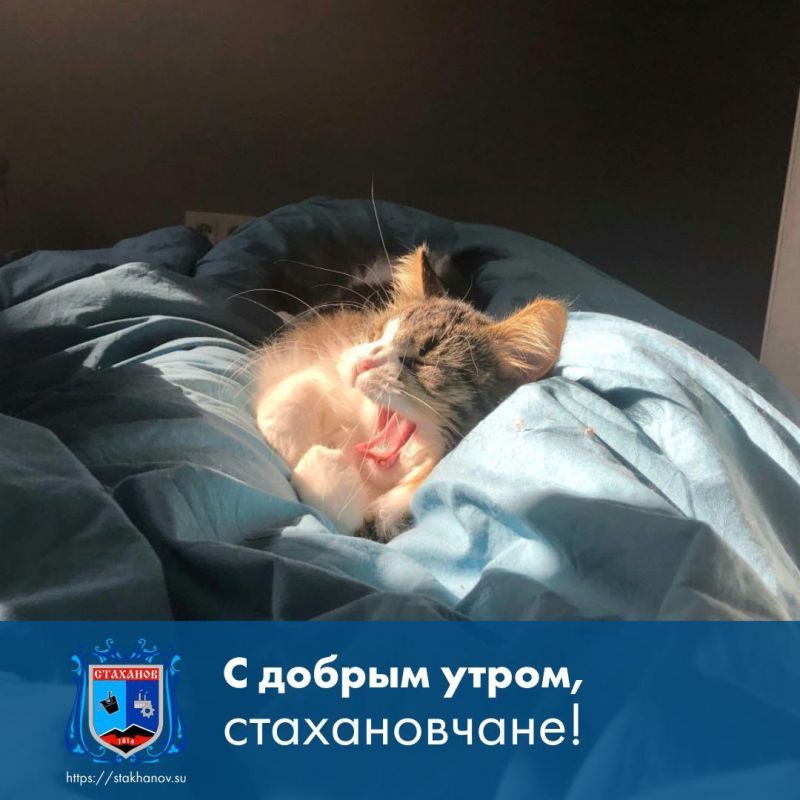 ������ ����, ��������. ���� �������� ����������