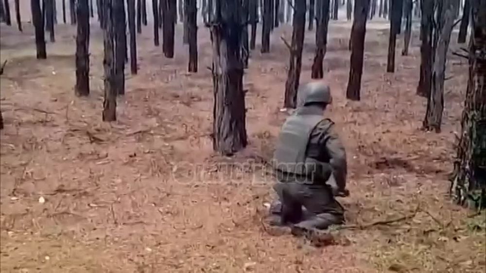 ����� �����: ������������ ������ �������������� ��������������� ��� ���� "��������" ���������� ���������� �� ���������� ������ � ���