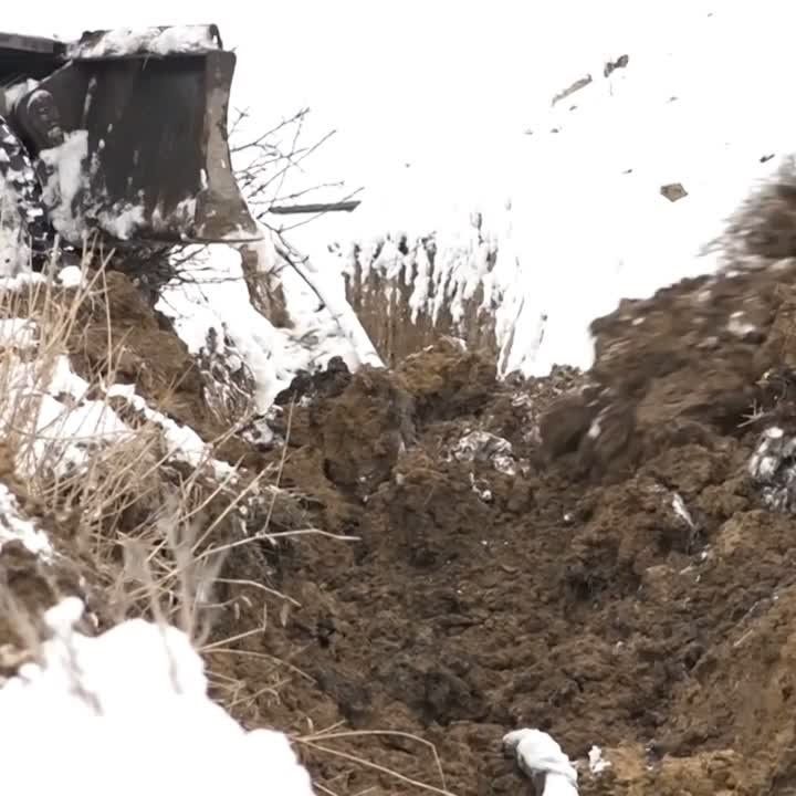 ��������������� ���������� ��������� ������ �� ������ ��������� �������� �������� � ������������� ������