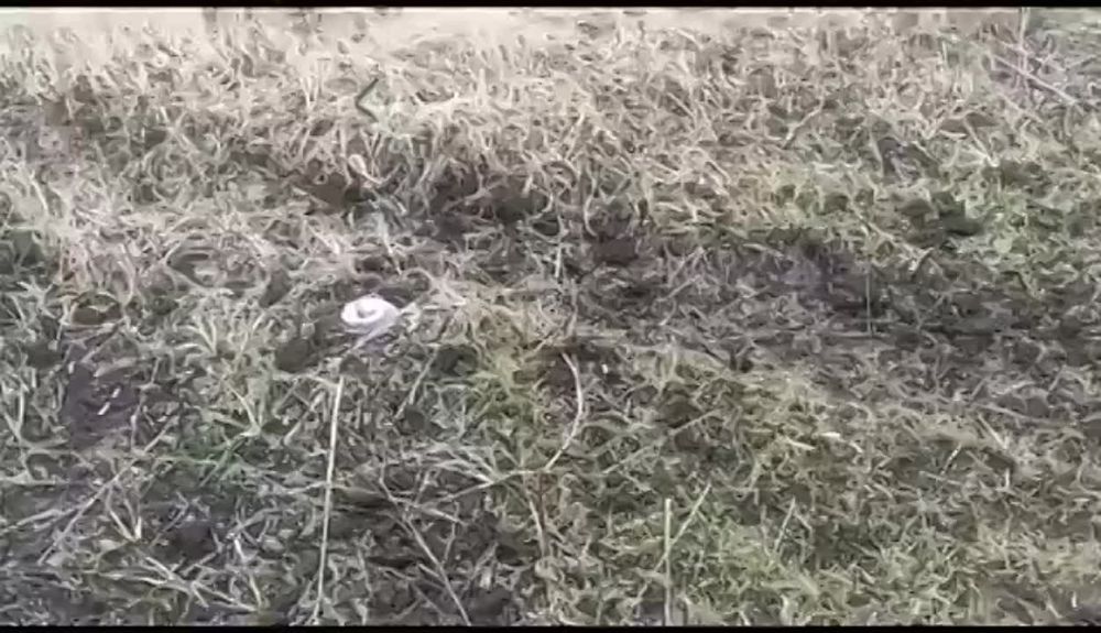 ���������� �������� ��������� 50�6� ������� ��������� ����������� ��� �-350 ��������, �������������, ����������������, �� ������������� ����� ���-�� � ���