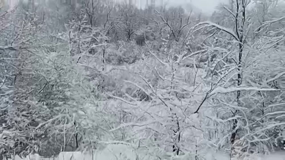 ��������� ���������������� �������� � ���������� ��������� ����������������� ���������� ������� ������� �� ������ ���� �� ���������� �� �������� � ��������