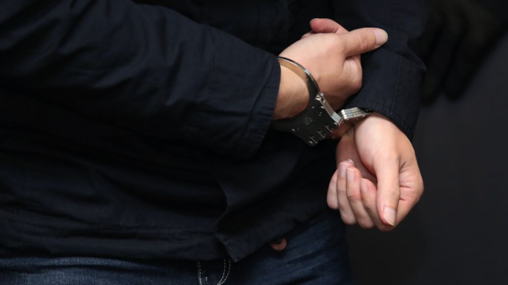 �������� � ������� �������� "���� ���������" � ��� � ������ ZOV. ����������� � �����