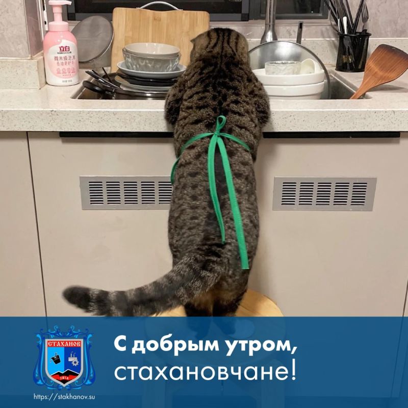 ����������� - ����, ����� ����� ������ ���. ��������, ���� ���� ����