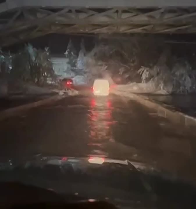 ����������� ���������� � ���� �������������� ��������������� � ��������
