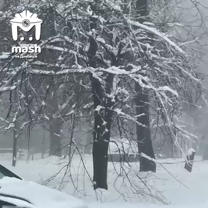 � ��� �������� ���������� � ��� ����� ��� 56 ����� �������