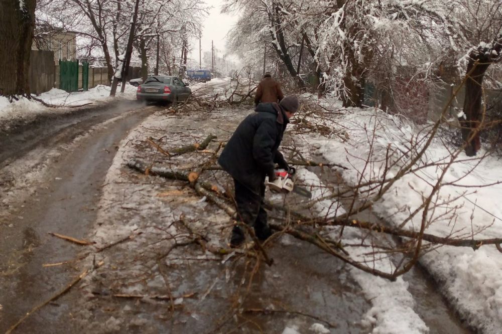 ������ �������: ������ ����������� ��������� �� ���������� ����������� �������� � �������������� ������������ �����������, ��������������� �����-��������, �������������� ����������� ������������� �������������