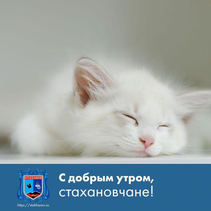 ������ ����, ��������. ���� �������� ����������