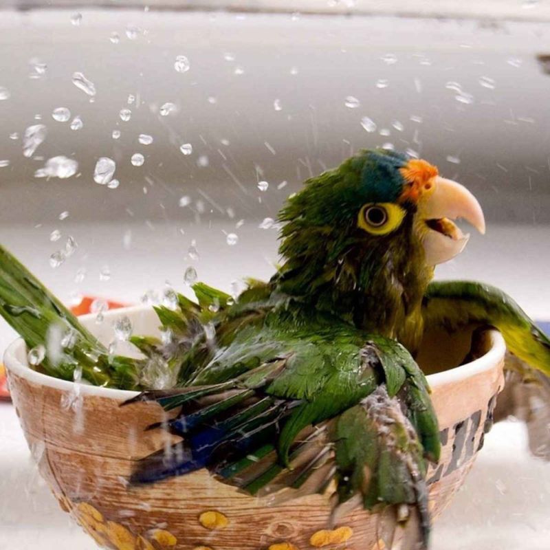 С 13 февраля будет действовать сокращённый режим подачи воды в южные кварталы