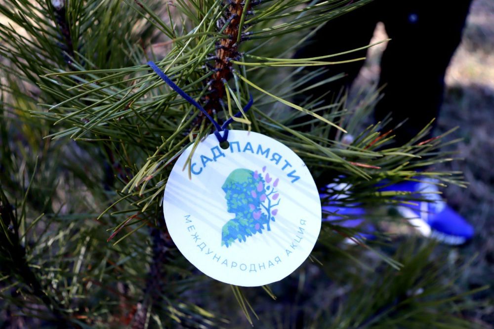 � ������������� ������ ����� ���� ������