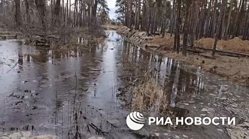 "����� ��� �������� ����� ����
