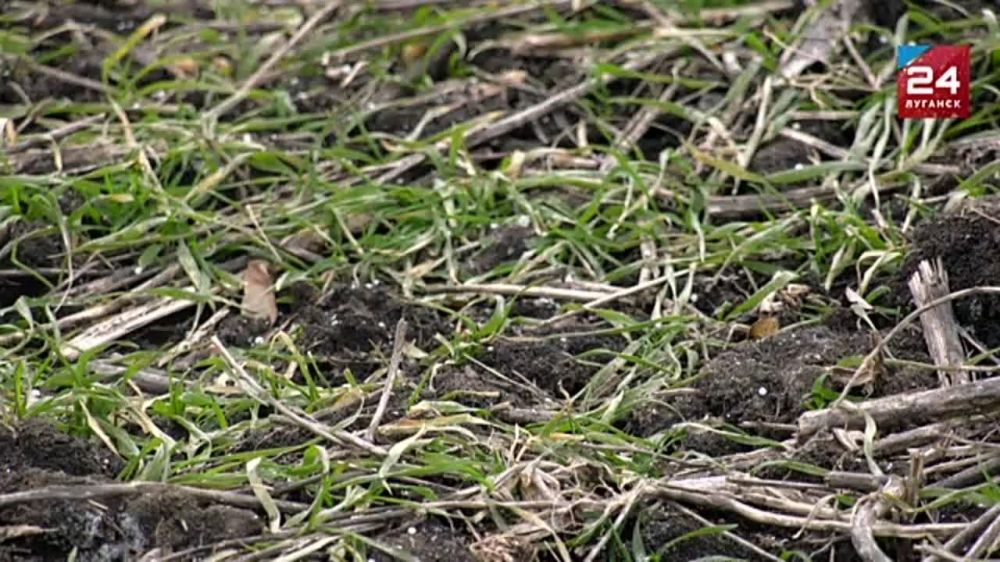 � ���������� �������� ������� ������ �� ��������� ������ �������� �������