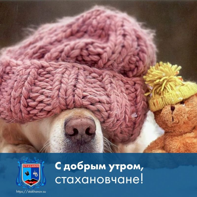 ������ ����, ��������. �� ����� ���������� � ��������� ����� ��� ������� ��������� � � Telegram #�������� #�������_���������