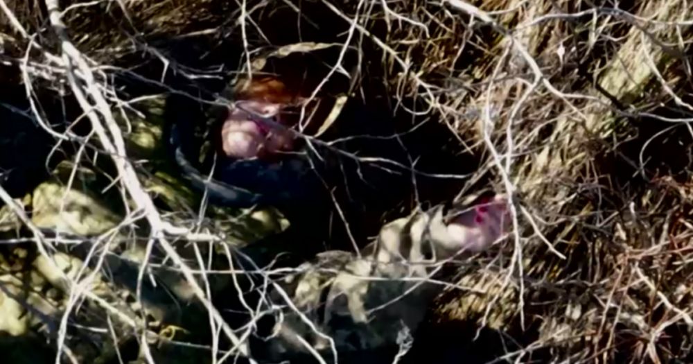 �������� ������ ��������� ��� �� ���� ��� �������-��������������