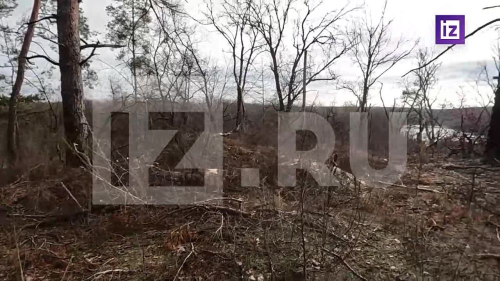 ����������� �� �� �� ���� ������������ ����� � ������ ���������