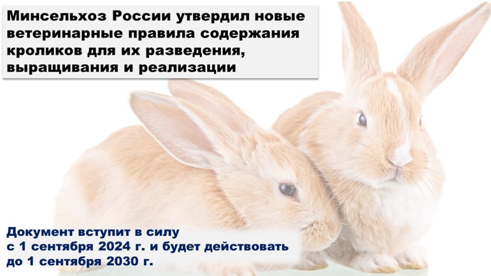 � 2024 ���� ������� � ���� ����� ������� � ������ � ���