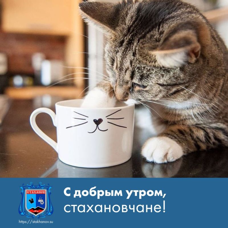 ������ ����, ��������. ���� �������� ����������